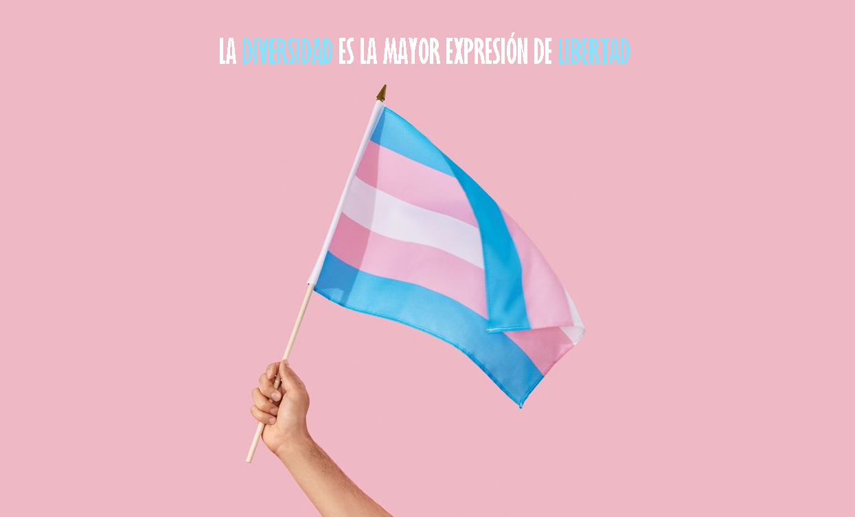 ¿Por qué se celebra el Día Internacional de la Visibilidad Transgénero?