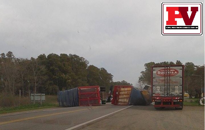 10561711_695749877145263_2303217319907267960_n