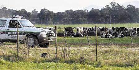 policia_rural-bonaerense-110811