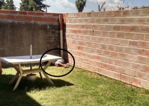 28-02-2015-01-22-55-p-m-