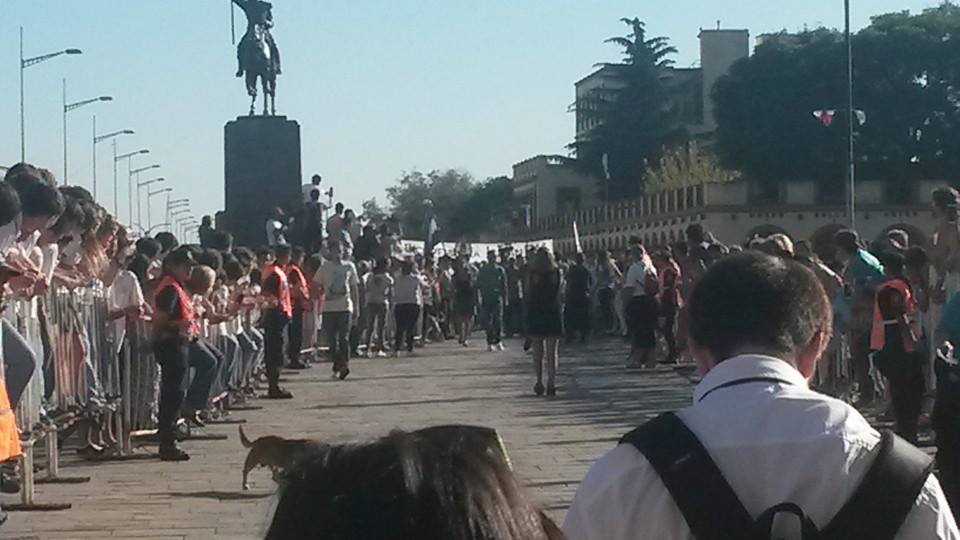 1620908_768568979916925_399560075095874879_n