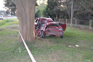 11259605_854609947979734_7806078681547790692_n - copia