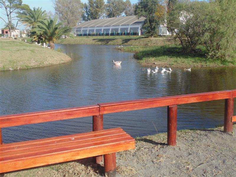 DSC06404 (Medium)