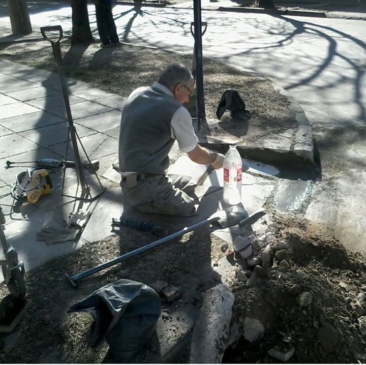 11705142_10153441589599598_2723125754807113155_n