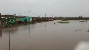 0808_francisco_duranona_g.jpg_1508290738