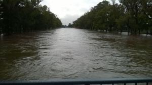 11825615_893144150757754_8089726233795785627_n