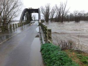 11846555_925373070857510_9069439012151545248_n