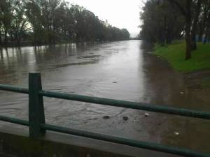 11846781_924779857583498_4798644854926648511_n