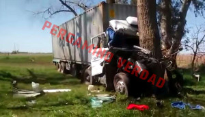 1169700_885660351469931_825499749_n