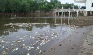 12248751_990325947707547_589532544_n