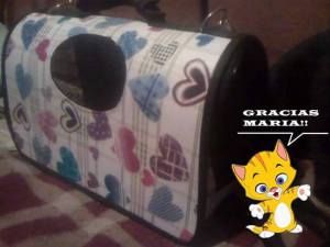 12736398_10205310978405542_1052647291_n