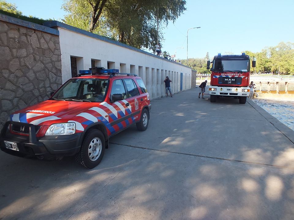 12742365_682313268577757_3835897092479877079_n