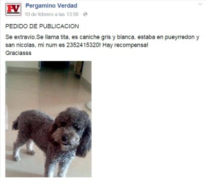 1526387_737065359676391_2601772953208603294_n