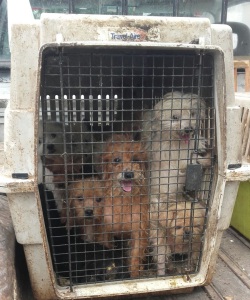 0b77fec6-520c-4876-9a23-710fd47366e5