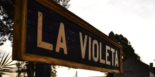 la-violeta-660x330