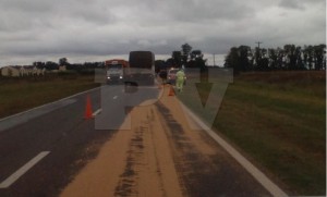 dea4333d-ef09-450f-a45d-34dd7bdf523c