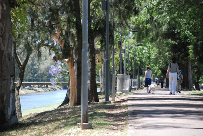 terraplen_arroyo_pergamino_1_20101213172142