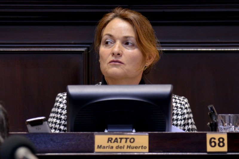 diputada-Ratto-800x533