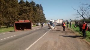 14182427_10210703991462474_1417751222_n1