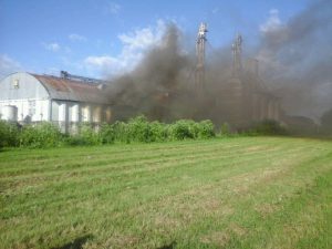 14708332_719092518242842_2668991255472614458_n