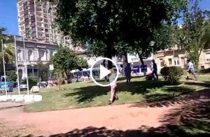 155920-esta-abuela-es-un-peligro-anciana-detenida-por-estafas-de-terrenos