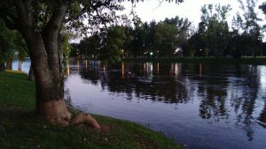 15972619_1286749138053233_7078801127043607734_o