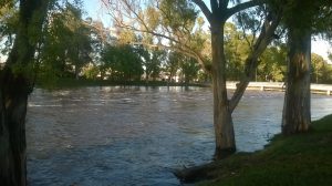 15994349_1287085341352946_5381607490086099789_o