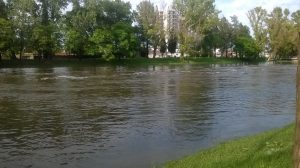 15994558_1288267271234753_6691117698764642532_o