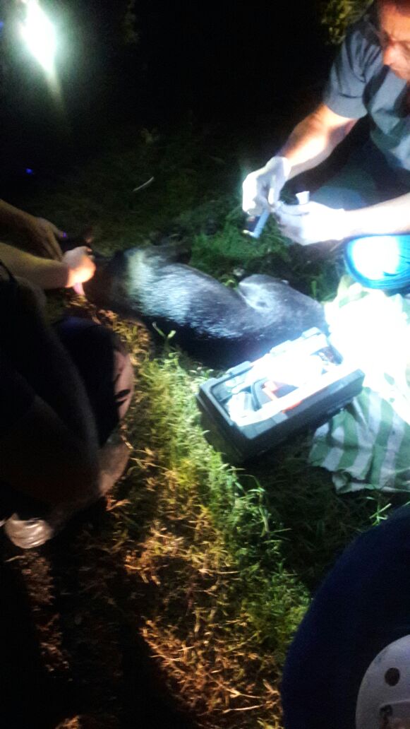 9b6db13c-c603-4992-a545-785555b594d8