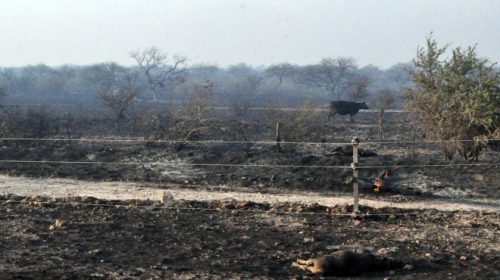 image_content_7970372_20170108223050