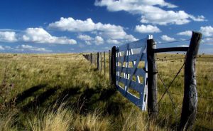 8054bbc3d52fdc9d951807acb74a941f_L