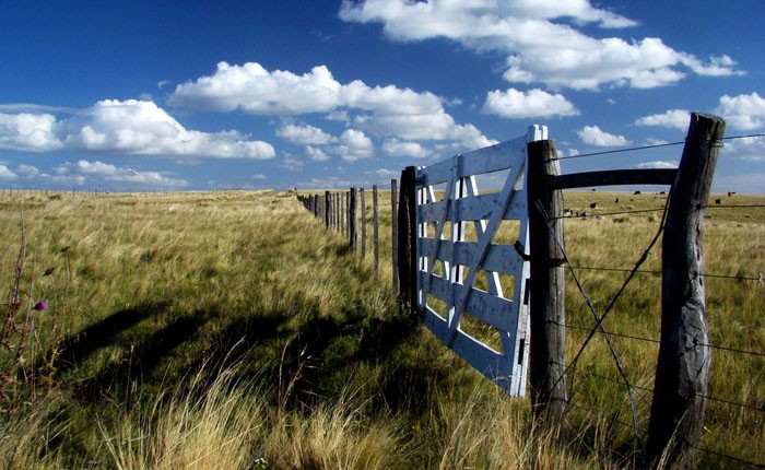 8054bbc3d52fdc9d951807acb74a941f_L