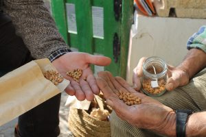 intercambio-de-semillas