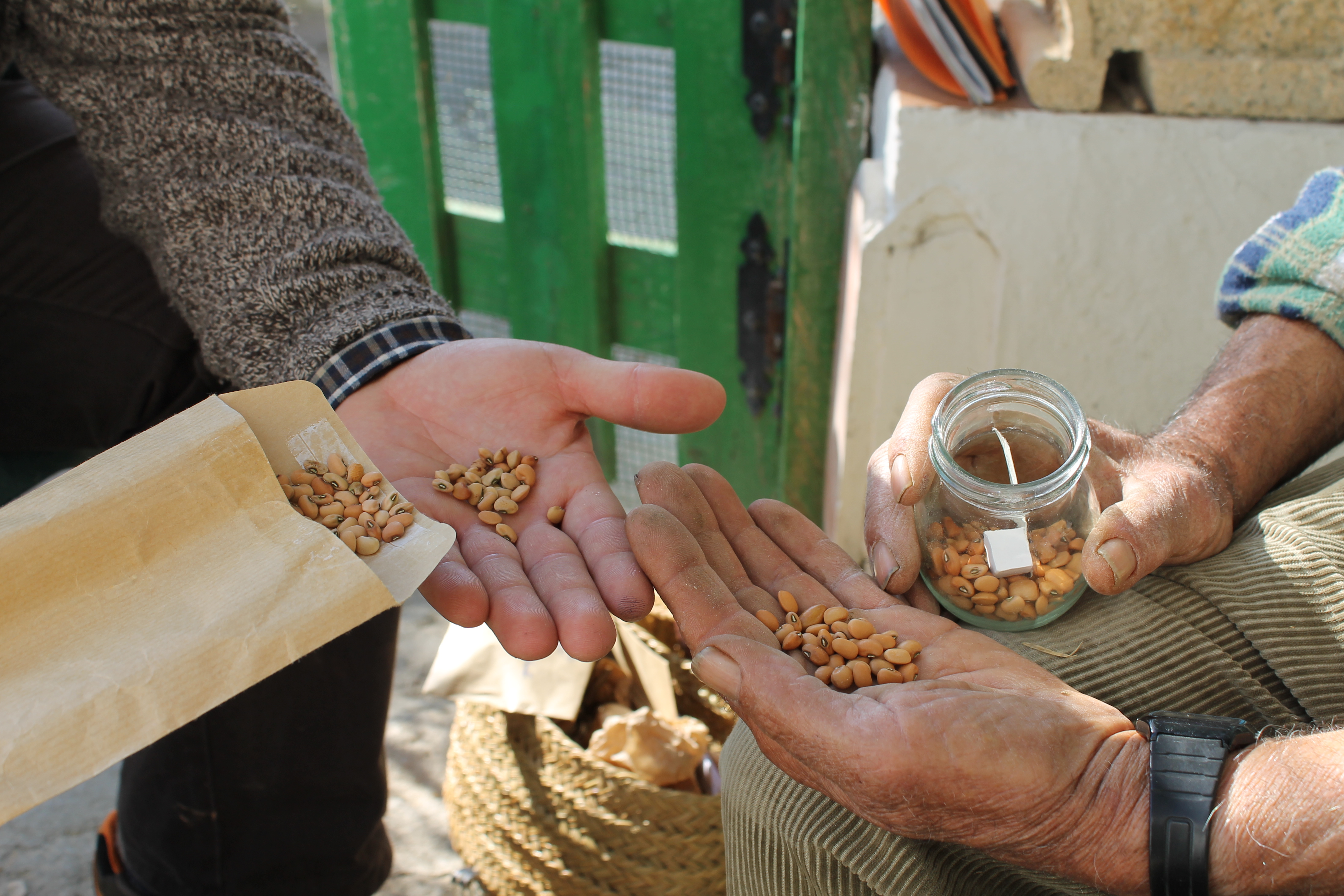 intercambio-de-semillas