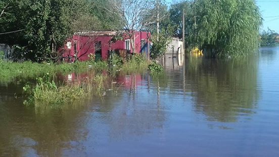 17522713_916764631799285_3905649721223789909_n