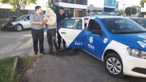 17902765_10206949239647882_149396963_o