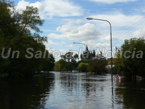 17990965_919718541503894_5394483264614876960_n