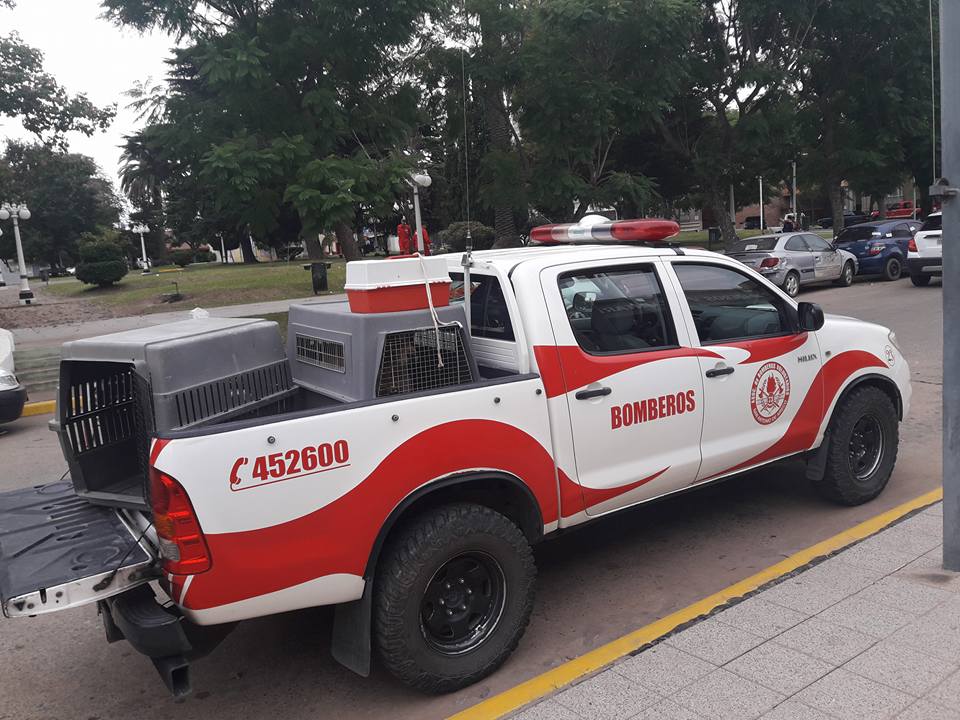 18010108_1819488348374037_9214414279420416971_n