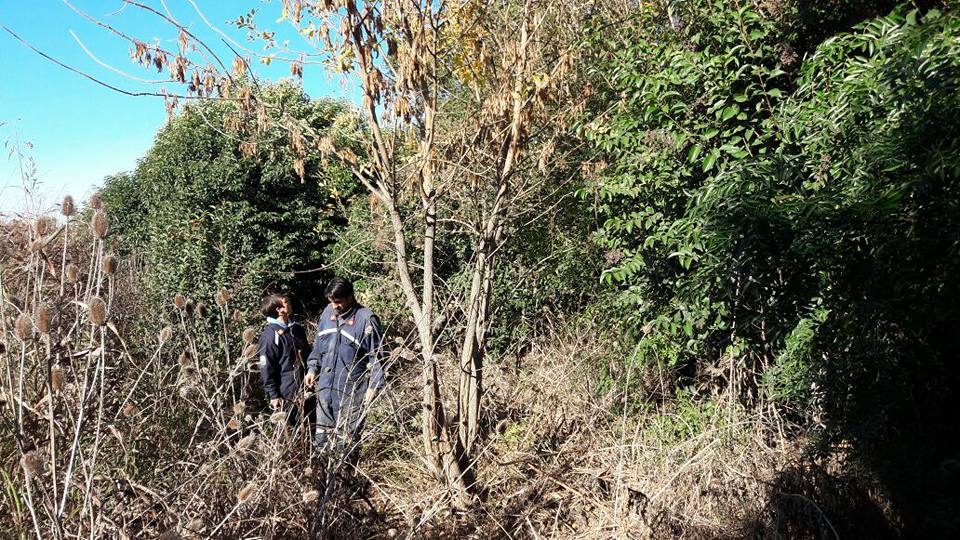 18033861_1819900721666133_4446752245643302952_n