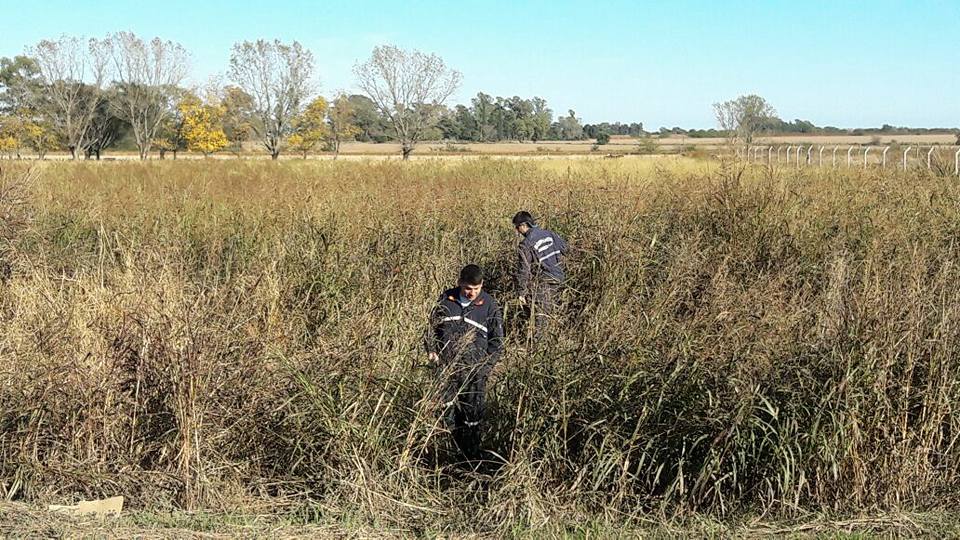 18056818_1819900768332795_6545281327748775944_n