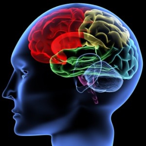 Cerebro-y-piano-300x300