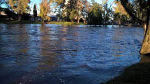 b0a71b8c-f8fb-4ca9-b8e9-bcc42d8226f7