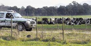 bonaerense_policia_rural-060711