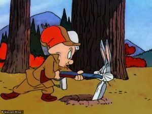 80D5093B-9FC3-442C-9F9E-2C8CC2EB7AD6