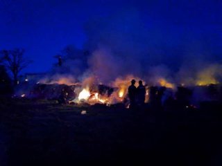 Bomberos-fardos-320x240
