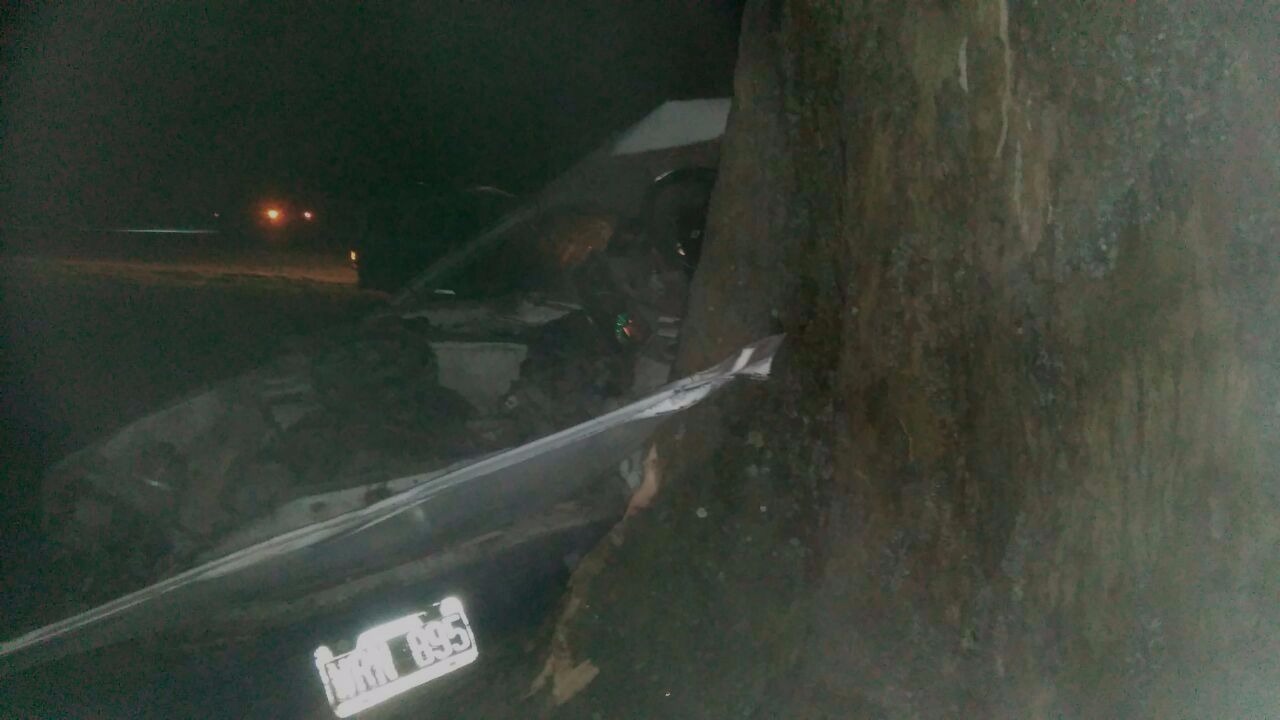 ade82038-2469-41ed-9a89-d32a00fcc688 (1)