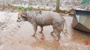 00000000000000000000000