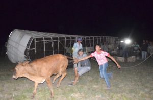 Vaquillas-10-696x455