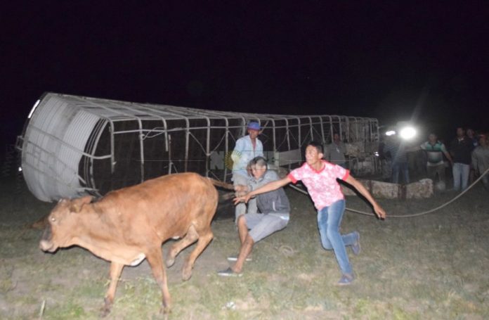 Vaquillas-10-696x455