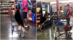 perro_supermercado.jpg_525981578